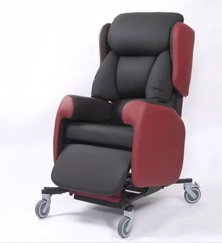 Adelphi Level 4 Care Chair